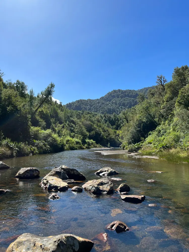 Bosque Andino — foto 1