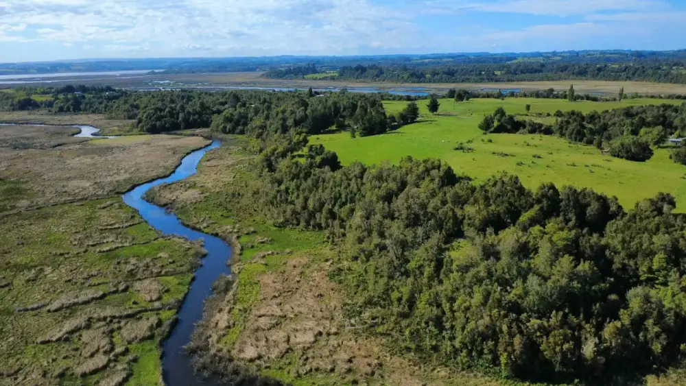 Campo Peñol — foto 1