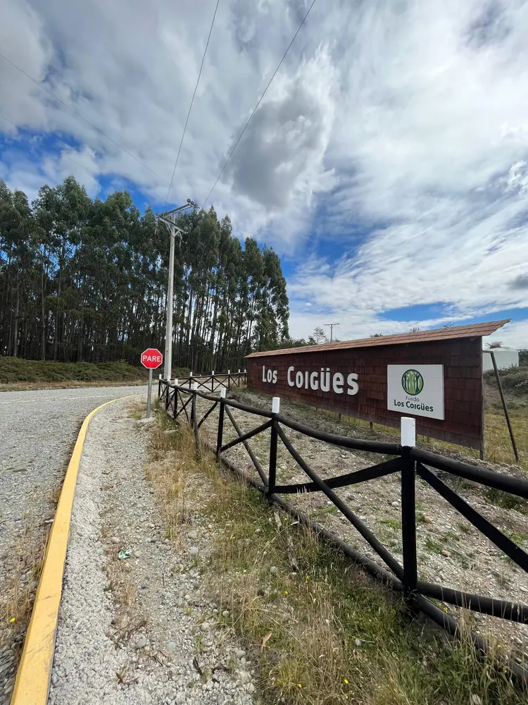 Los Coigues — foto 11
