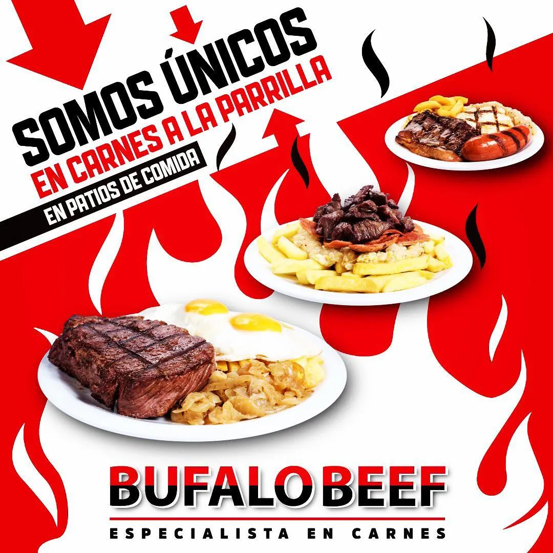 bufalo 1
