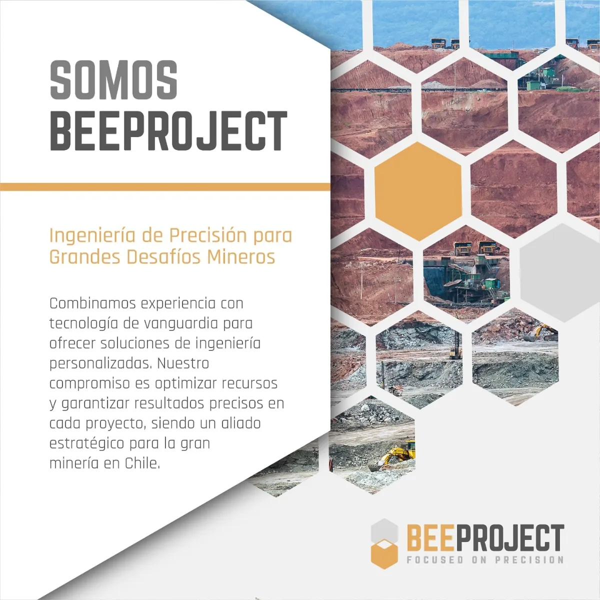 bee 1