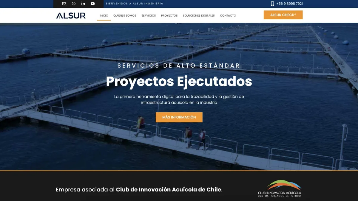 web alsur